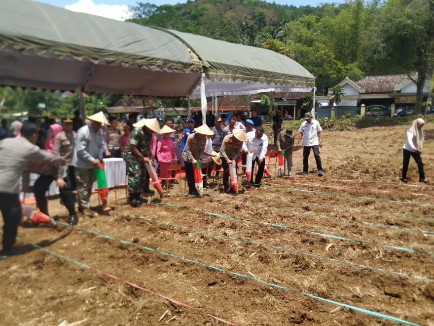 LAUNCHING PENANAMAN JAGUNG DALAM RANGKA MENDUKUNG KETAHANAN PANGAN NASIONAL OLEH KAPOLSEK WATULIMO